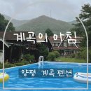 계곡의 아침 | 양평 수영장 계곡 펜션 추천! 계곡의 아침 10인 해바라기방 후기🌿