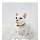 냥스터치 이미지