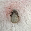 강아지나라동물병원 이미지