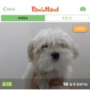 덕지천로 이미지