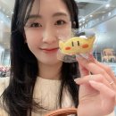 GR(대구광역시 달성군)-[달성2차2로]-하-2 | 12월 일상