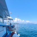 또또와 실내낚시카페 이미지