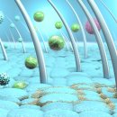 사상참경희한의원 이미지