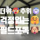 온잇독 | [남양주_필드포독] 소심견, 사고뭉치견의 남양주 실내운동장 체험기 🐕🐕💖