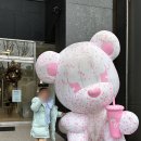 디저트39남춘천점 이미지