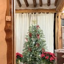 카페보리 | 아늑한 방이 마련되어 있는 조용한 카페 남양주 별내의 카페보리 방문 후기