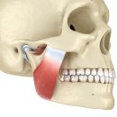 메디로프 이미지