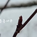 활터어린이공원 이미지