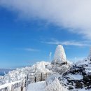제89회 12월정기산행 (원주) 치악산 겨울산행 이미지