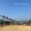 딸기밭 부농 이미지