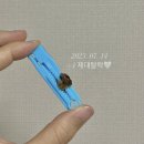 새동산병원 | 성서 계대 동산병원 제왕절개 후기 (37주 1일) feat. 병원비, 보호자 코로나 검사, 주차비용