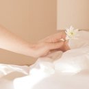 미소짓개 이미지