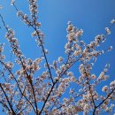 일상 : 4월 되돌아보기 - 한 달의 기록 (전편)