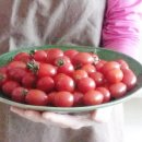 김재근농장 | 프레시모닝 산지직송 대추방울 토마토 아삭한 식감 당도도 높아 더욱 먹음직스러워~