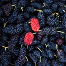 고창 다온 이미지