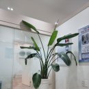 연세속이편한내과의원 이미지