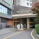 기흥퍼스트 태권도 네이버블로그