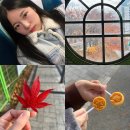 보도중로2-11 | 11월 마지막주 포토 다이어리 (갑자기 대전 불꽃축제 🔥🎇💫)