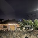 제주청년살이 이미지