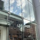 러브숍 | 삿포로 커피숍 추천 러브에스프레소 방문 후기