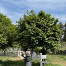 소유목장 이미지