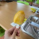 해남중학교 | 다시는 생의 낯섦 앞에서 경악하지 않는 것