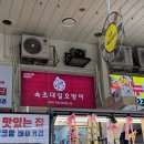 속초대일호방어1 네이버블로그