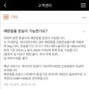 캡틴제주 이미지