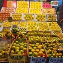 (주) 브이아이피투어 이미지