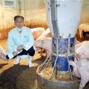 성우축사 이미지