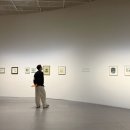 대지의 전개 | 타샤 튜더 전시회 관람 후기 - Still, Tasha Tudor 스틸 타샤 튜더. 롯데뮤지엄 주차