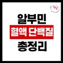 알부민 혈액 단백질로 읽는 건강 신호