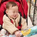 현대엘림 이미지