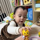 똥빼노래연습장 | 돌아기 코코지 반응 아띠 추천 내돈내산 후기