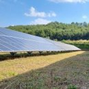 넝쿨 태양광발전소 이미지