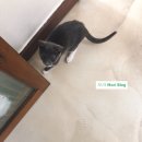 합성동272 | [창원/마산 회원구 맛집] &#34;카페 합성동&#34; 카페 맛집 첫방문 리얼후기