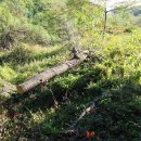 설악농장 이미지