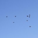 순천만 풍경 이미지