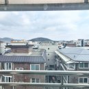 매화초앞 이미지