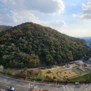 산정대덕 이미지