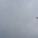 이장관행정사사무소 이미지