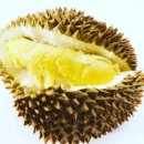 카페 피오르 이미지