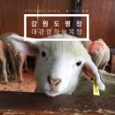 세양목장 이미지