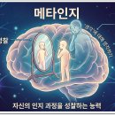 아는 것 모르는 것 구분하는 메타인지 훈련법 이미지