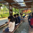 하천 | 충주 가볼만한곳 수안보 족욕체험장 무료 온천 주차 운영시간 정보