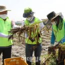김동훈 농장 이미지