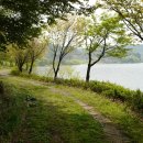 봉선지둘레길 이미지