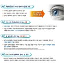 아이비즈