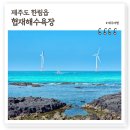 푸른스틸 | 폭싹속았수다 제주도 촬영지 협재해수욕장, 에머랄드빛 푸른바다 노을명소 맛집