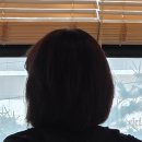 수술실 간호사가 선택한 단발펌 — 반포원베일리 준오헤어 후기